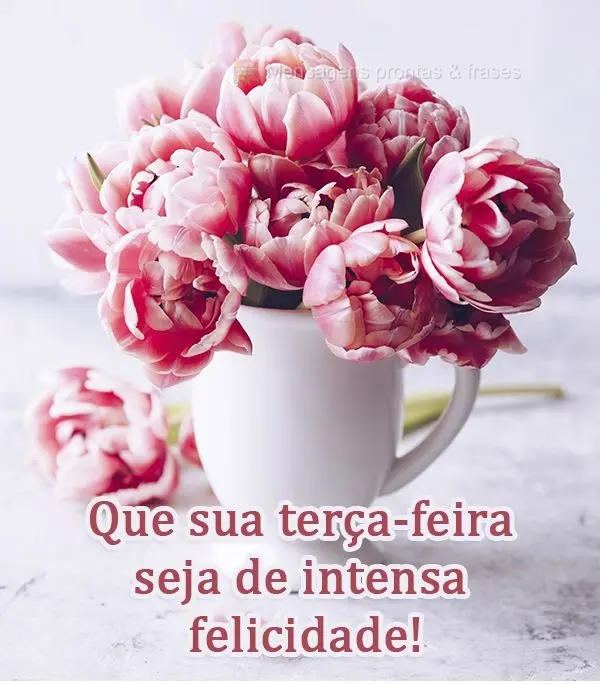 Que sua terça-feira seja de intensa felicidade!