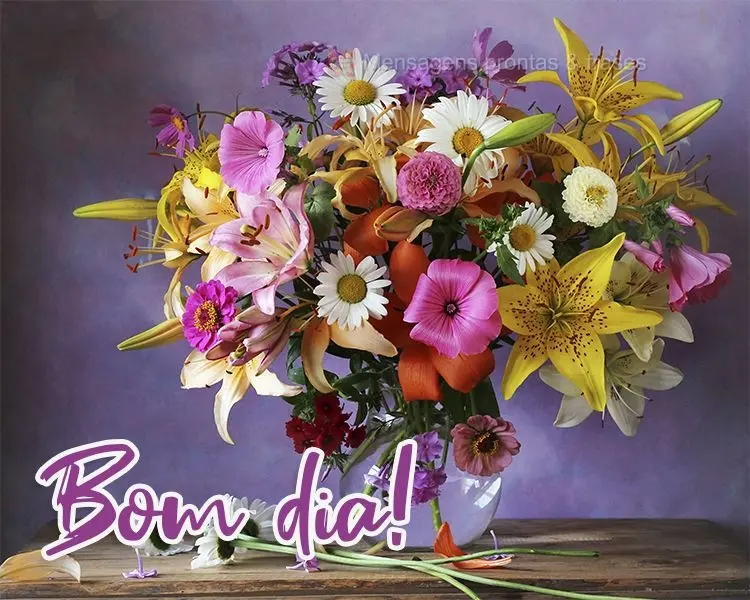 Bom dia!