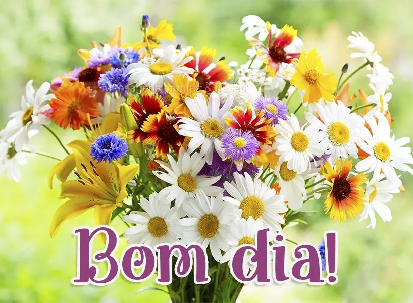 Bom dia!