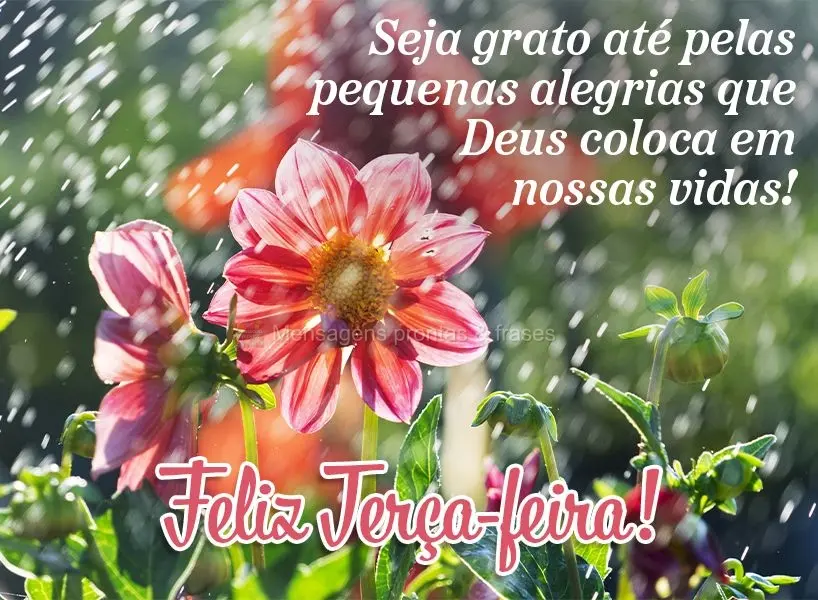 Seja grato até pelas pequenas alegrias que Deus coloca em nossas vidas!  Feliz Terça-feira!