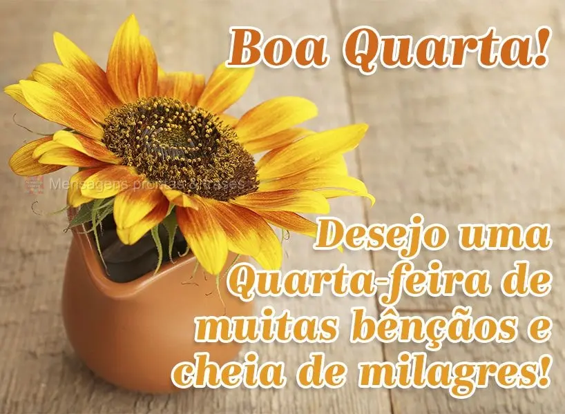 Desejo uma quarta-feira de muitas bênçãos e cheia de milagres!  Boa Quarta!