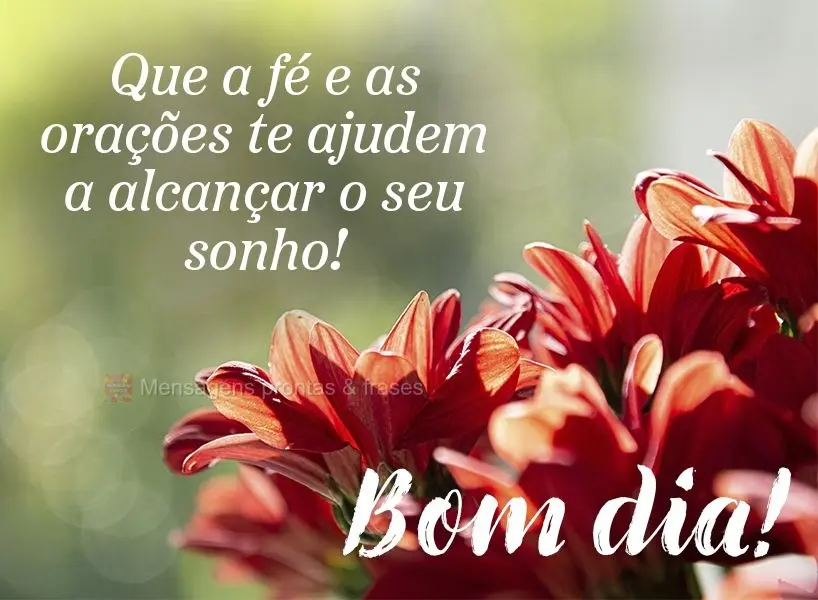 Bom dia (Mais compartilhados) - Página 8
