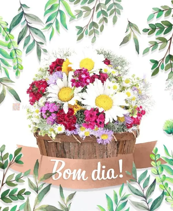 Bom dia!