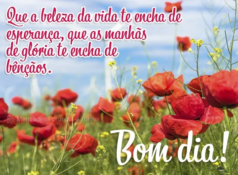 Bom dia (Mais compartilhados) - Página 8