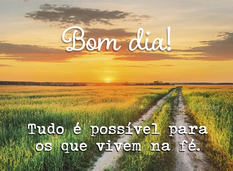 Bom dia (Mais compartilhados) - Página 13