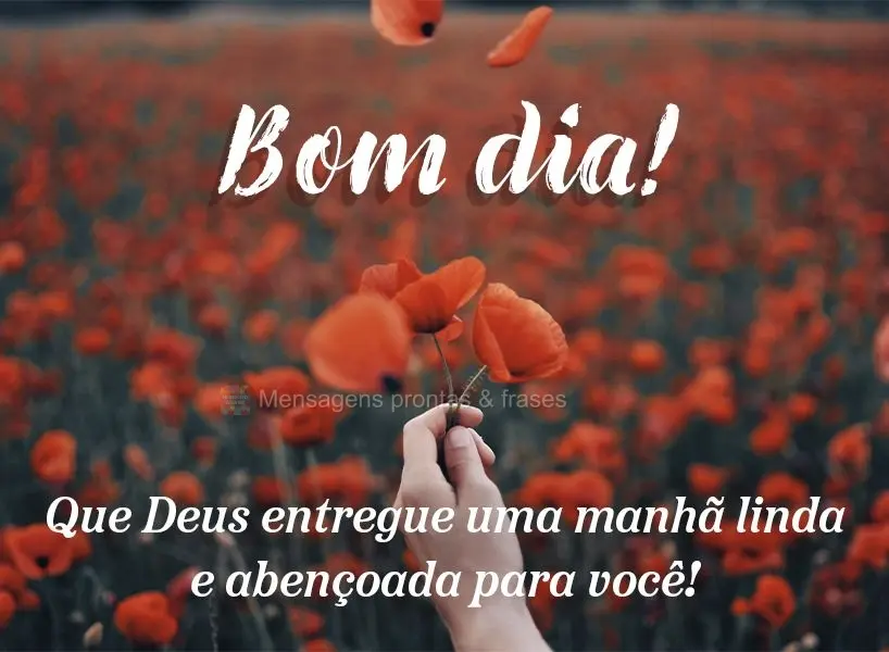Que Deus entregue uma manhã linda e abençoada para você! Bom dia!