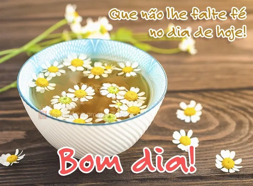 Que não lhe falte fé no dia de hoje! Bom dia!