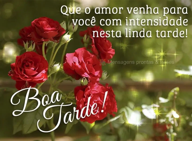 Que o amor venha para você com intensidade nesta linda tarde!  Boa tarde!