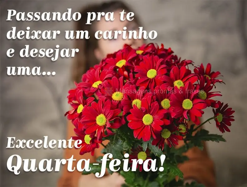Passando pra te deixar um carinho e desejar uma... Excelente Quarta-feira!