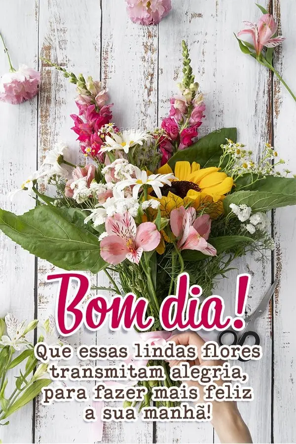 Bom dia (Mais compartilhados) - Página 17