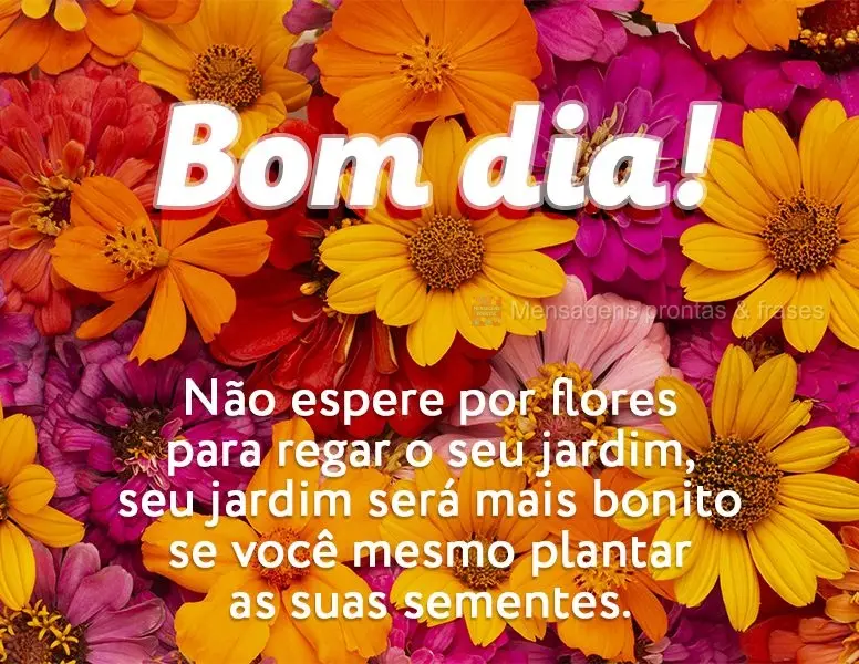 Bom dia (Mais compartilhados) - Página 50