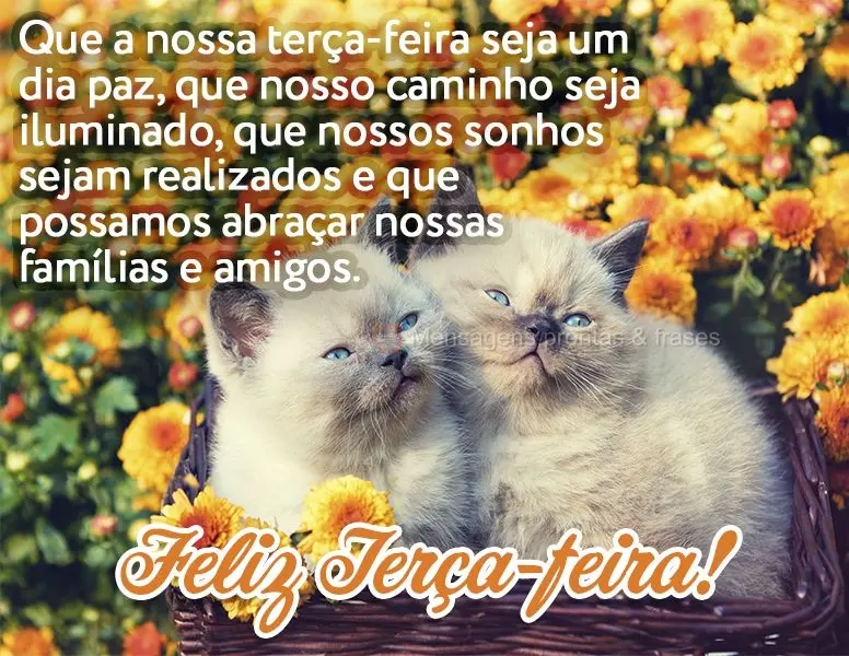 Que a nossa terça-feira seja um dia paz, que nosso caminho seja iluminado, que nossos sonhos sejam realizados e que possamos abraçar nossas famílias e...
