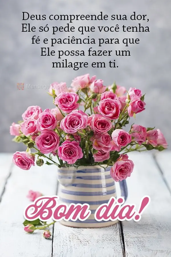 Deus compreende sua dor, Ele só pede que você tenha fé e paciência para que Ele possa fazer um milagre em ti. Bom dia!