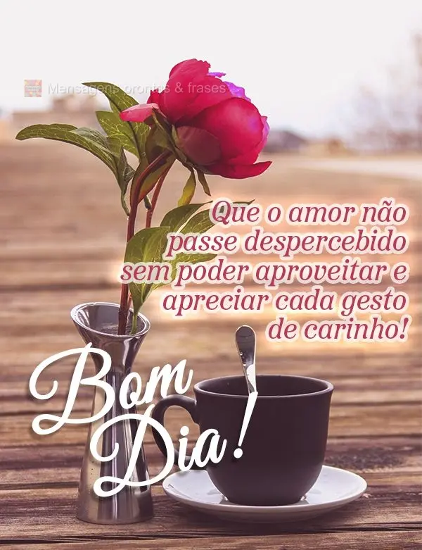 Bom dia (Mais compartilhados) - Página 17