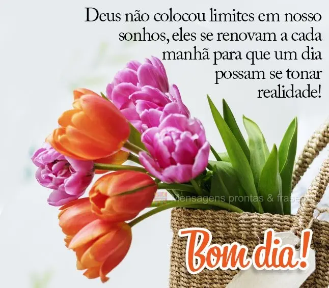 Bom dia (Novos) - Página 52 | Mensagens prontas & Frases