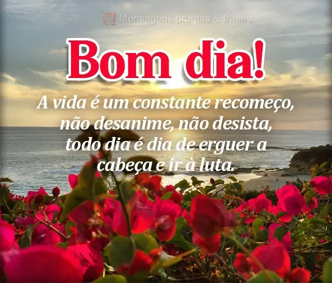 Bom dia (Novos) - Página 52 | Mensagens prontas & Frases