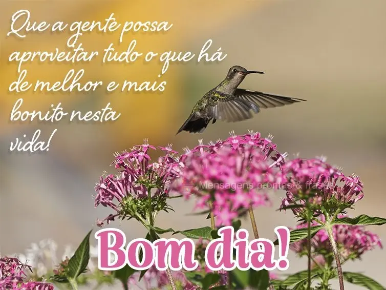 Bom dia (Novos) - Página 51 | Mensagens prontas & Frases