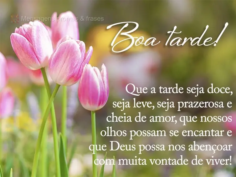 Que a tarde seja doce, seja leve, seja prazerosa e cheia de amor. Que nossos olhos possam se encantar e que Deus possa nos abençoar com muita vontade de...