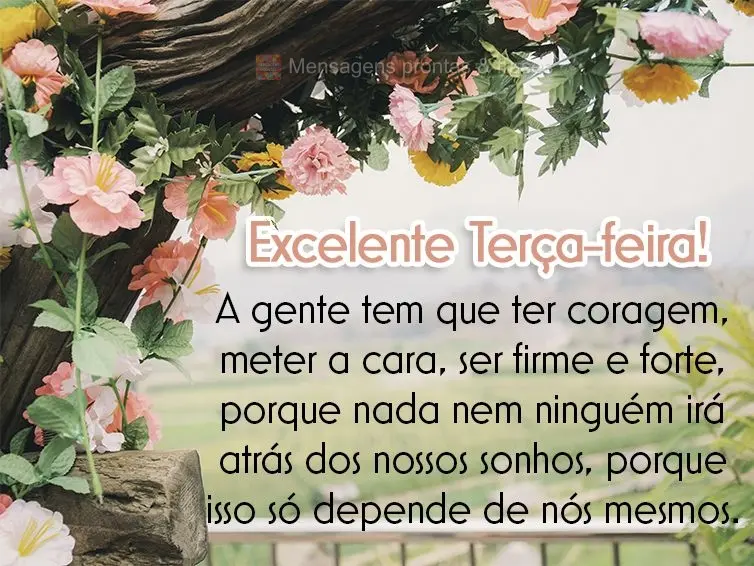 A gente tem que ter coragem, meter a cara, ser firme e forte, porque nada nem ninguém irá atrás dos nossos sonhos, isso só depende de nós mesmos. Ex...