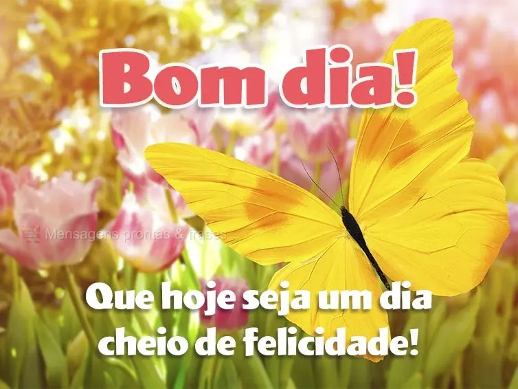 Que hoje seja um dia cheio de felicidade! Bom dia!