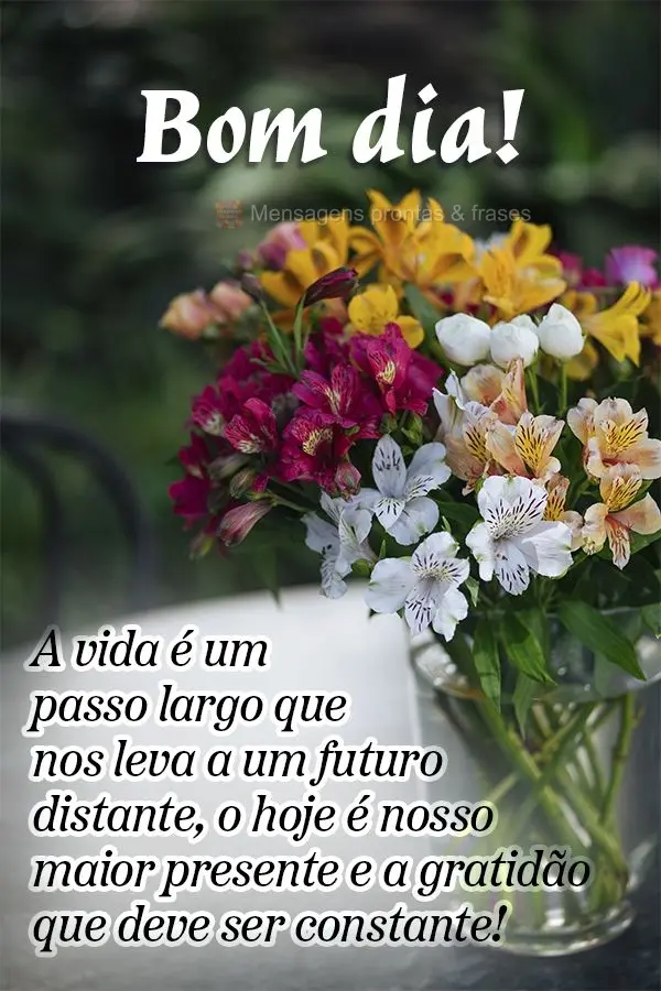 Bom dia (Mais compartilhados) - Página 10