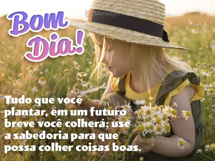 Bom dia (Novos) - Página 48 | Mensagens prontas & Frases