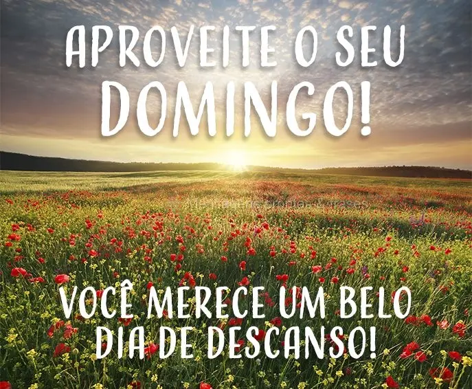 Domingo (Mais compartilhados) - Página 11