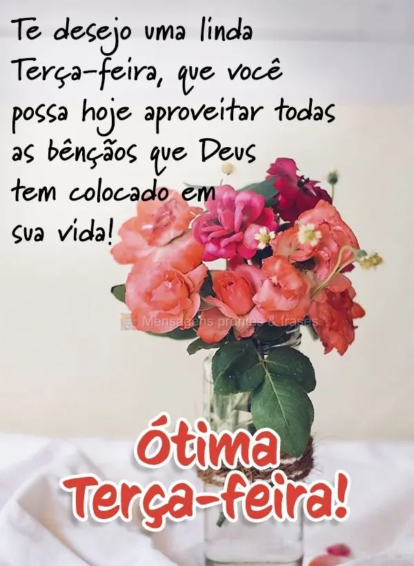 Te desejo uma linda Terça-feira. Que você possa hoje aproveitar todas as bênçãos que Deus tem colocado em sua vida! Ótima Terça-feira!