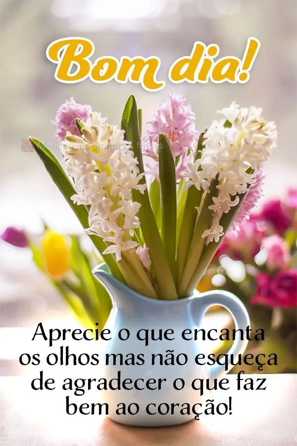 Aprecie o que encanta os olhos mas não esqueça de agradecer o que faz bem ao coração! Bom dia!