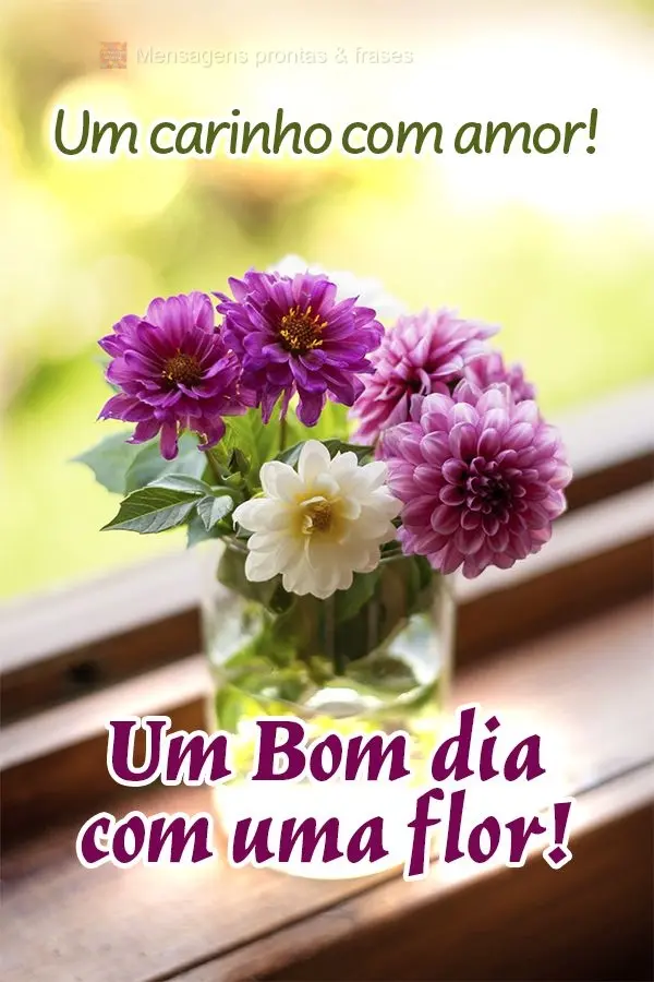 Um carinho com amor! Um Bom dia com uma flor!