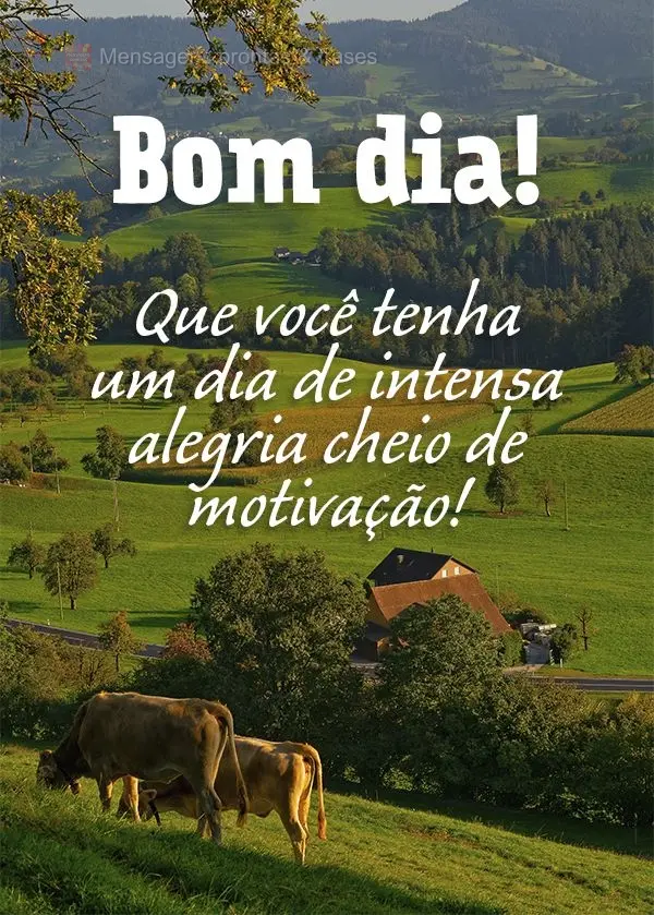 Bom dia (Novos) - Página 44 | Mensagens prontas & Frases