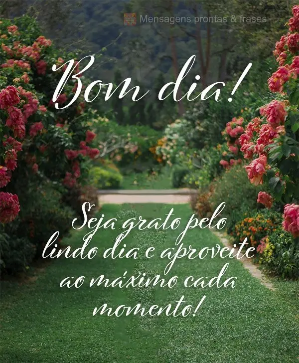 Bom dia (Mais compartilhados) - Página 21