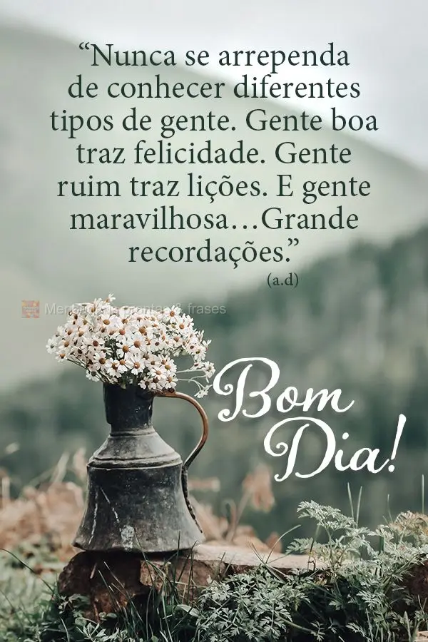 Bom dia (Novos) - Página 42 | Mensagens prontas & Frases