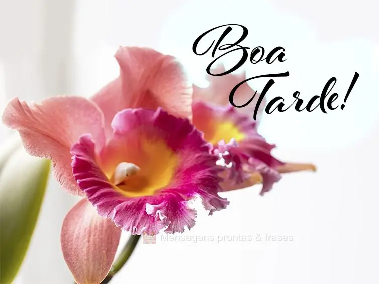 Boa tarde!