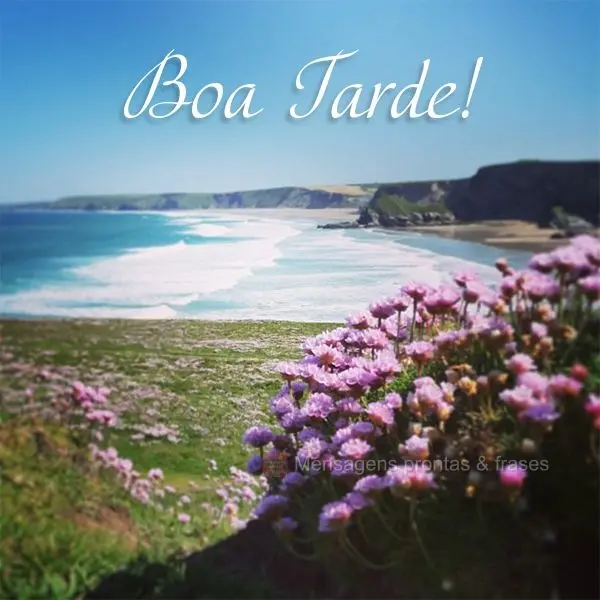 Boa tarde!