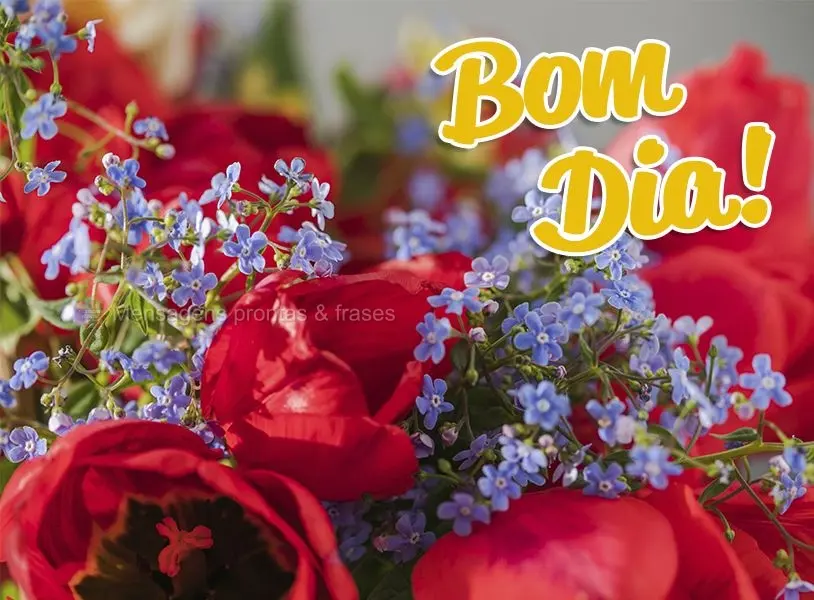 Bom dia!