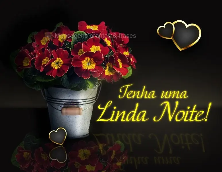 Tenha uma Linda noite!