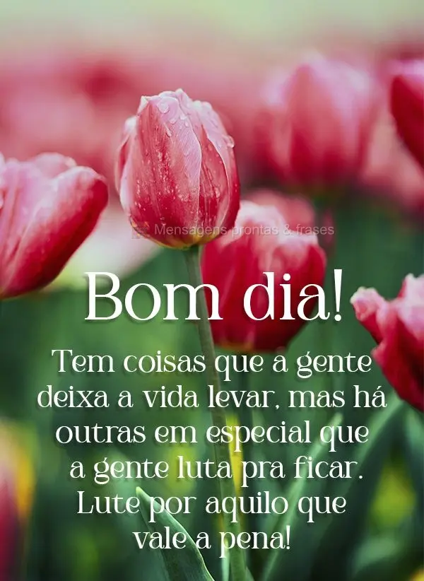 Bom dia (Novos) - Página 40 | Mensagens prontas & Frases