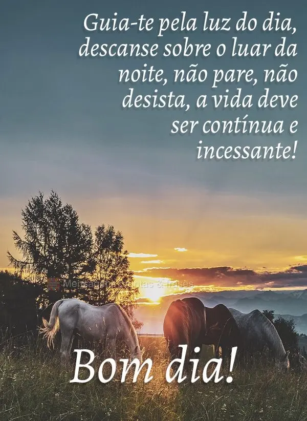 Guia-te pela luz do dia, descanse sobre o luar da noite. Não pare, não desista, a vida deve ser contínua e incessante! Bom dia!
