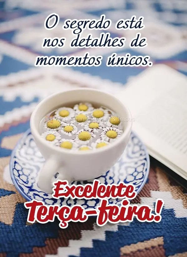 O segredo está nos detalhes de momentos únicos. Excelente Terça-feira!