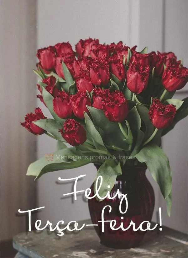 Feliz Terça-feira!
