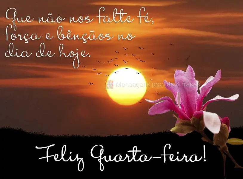 Que não nos falte fé, força e bênçãos no dia de hoje. Feliz Quarta-feira! 