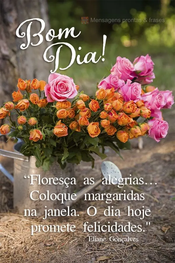 “Floresça as alegrias… Coloque margaridas na janela. O dia hoje promete felicidades." Bom dia!  Eliane Gonçalves