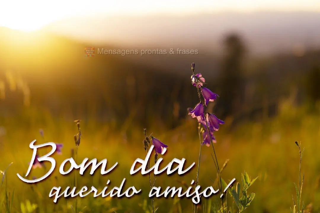 Bom dia (Mais compartilhados) - Página 111