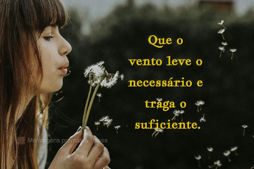 Que o vento leve o necessário e traga o 
suficiente.