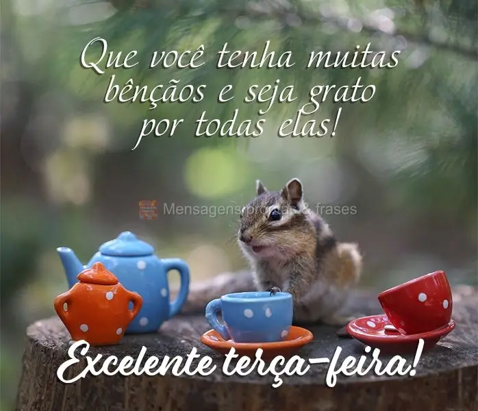 Que você tenha muitas bênçãos e seja grato por todas elas! Excelente terça-feira!
