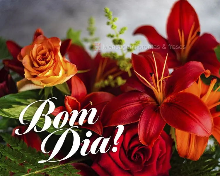 Bom dia (Novos) - Página 35 | Mensagens prontas & Frases