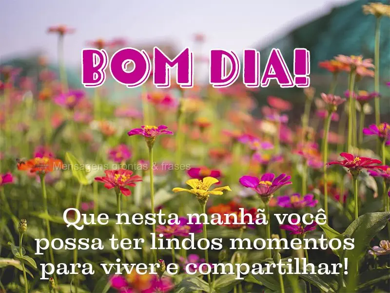 Bom dia (Novos) - Página 34 | Mensagens prontas & Frases