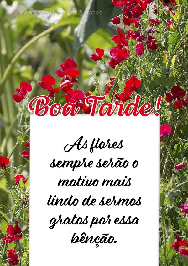 As flores sempre serão o motivo mais lindo de sermos gratos por essa bênção. Boa tarde!