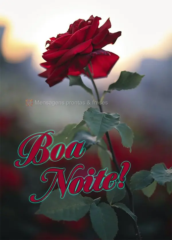 Boa noite!